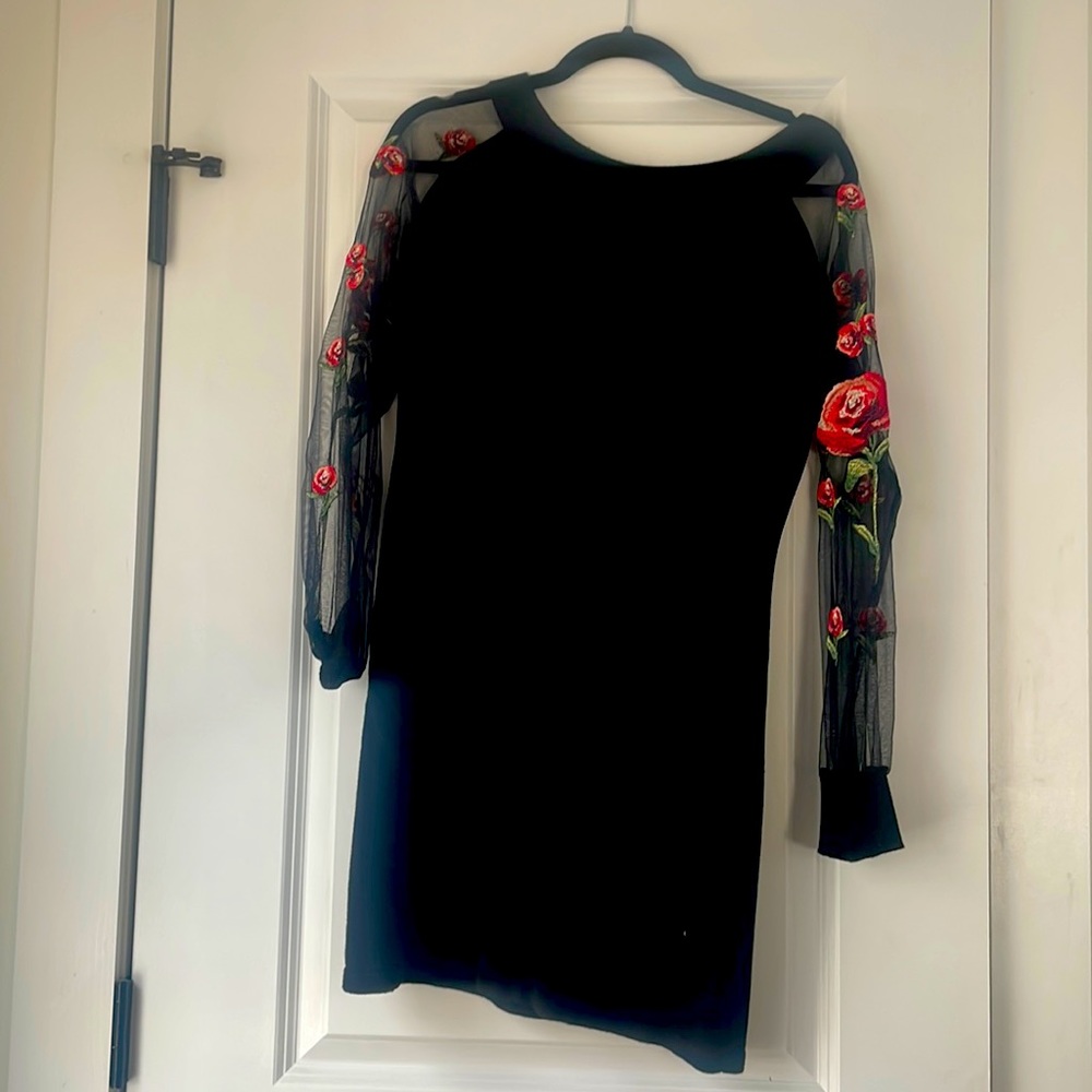 Long sleeve black mesh dress